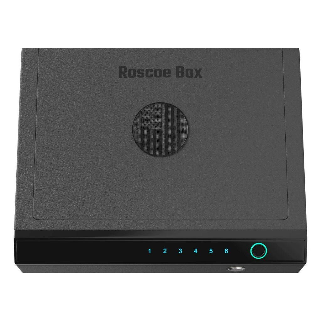Biometric Gun Safe  Fingerprint Digital Code Backup Key Plug It In - Flag