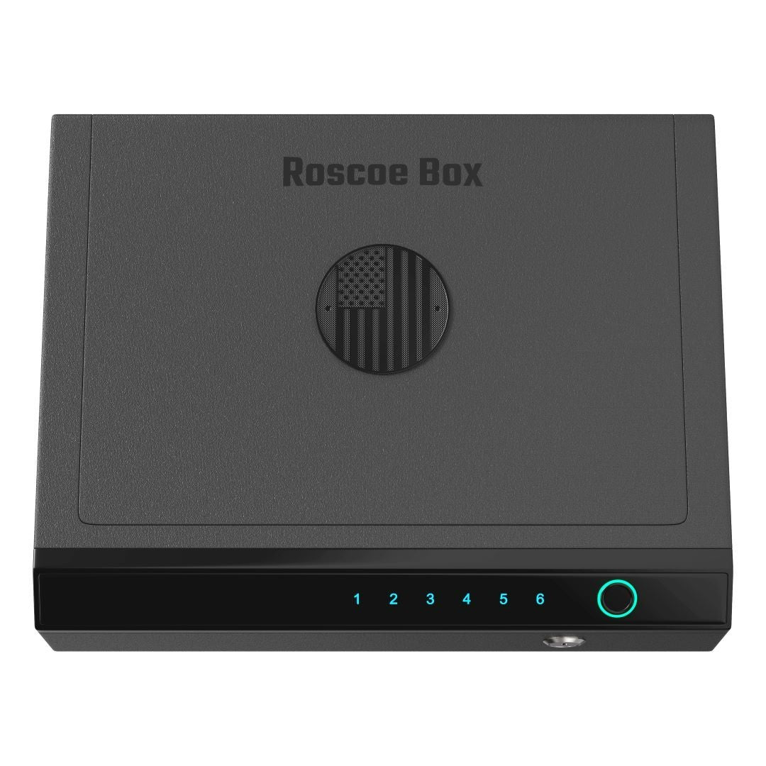 Biometric Gun Safe  Fingerprint Digital Code Backup Key Plug It In - Flag
