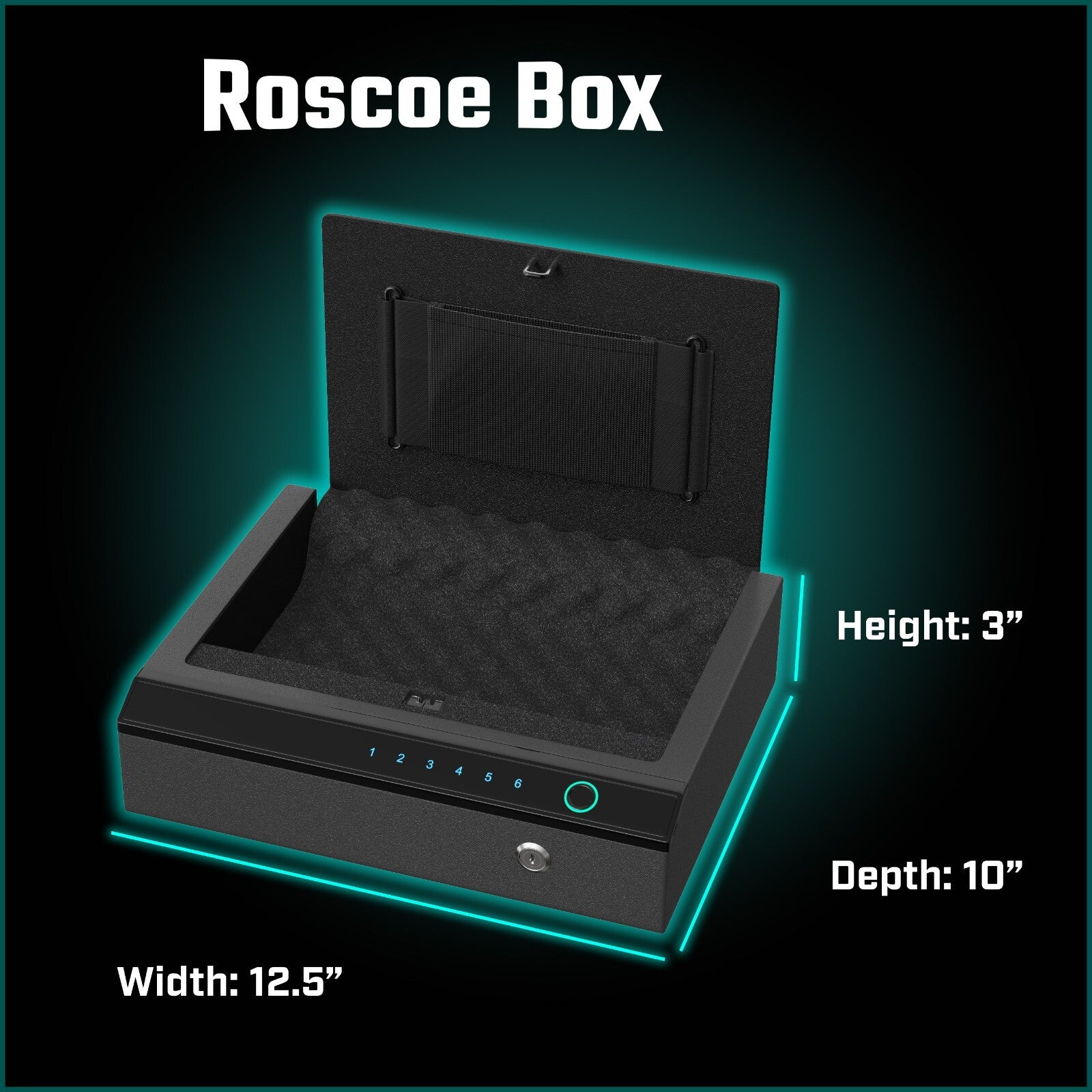 Biometric Gun Safe - Manual Keys, Pin Keypad, Fingerprint, Spartan Medallion